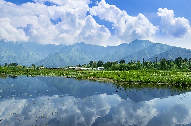 Landscape Reflection in Dal Lake, Srinagar - Kashmir