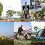 Vibrant Sabarmati Riverfront Flower Show Ahmedabad 2025 Dates, Timings, Tickets Price, Online Booking, Photos