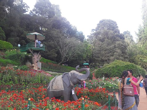 Ooty Flower Show - Elephant