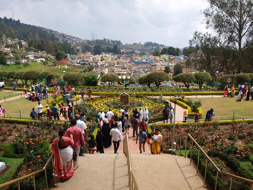 Ooty Flower Show Steps