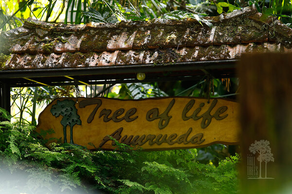 Tree of Life Ayurveda