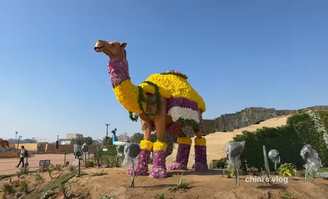 Camel Sculpture in Flower Show 2025