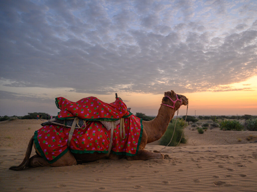 Jaisalmer Tour Package
