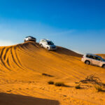 More Than Desert Safaris: Honest Thrillophilia Reviews on Dubai Experiences